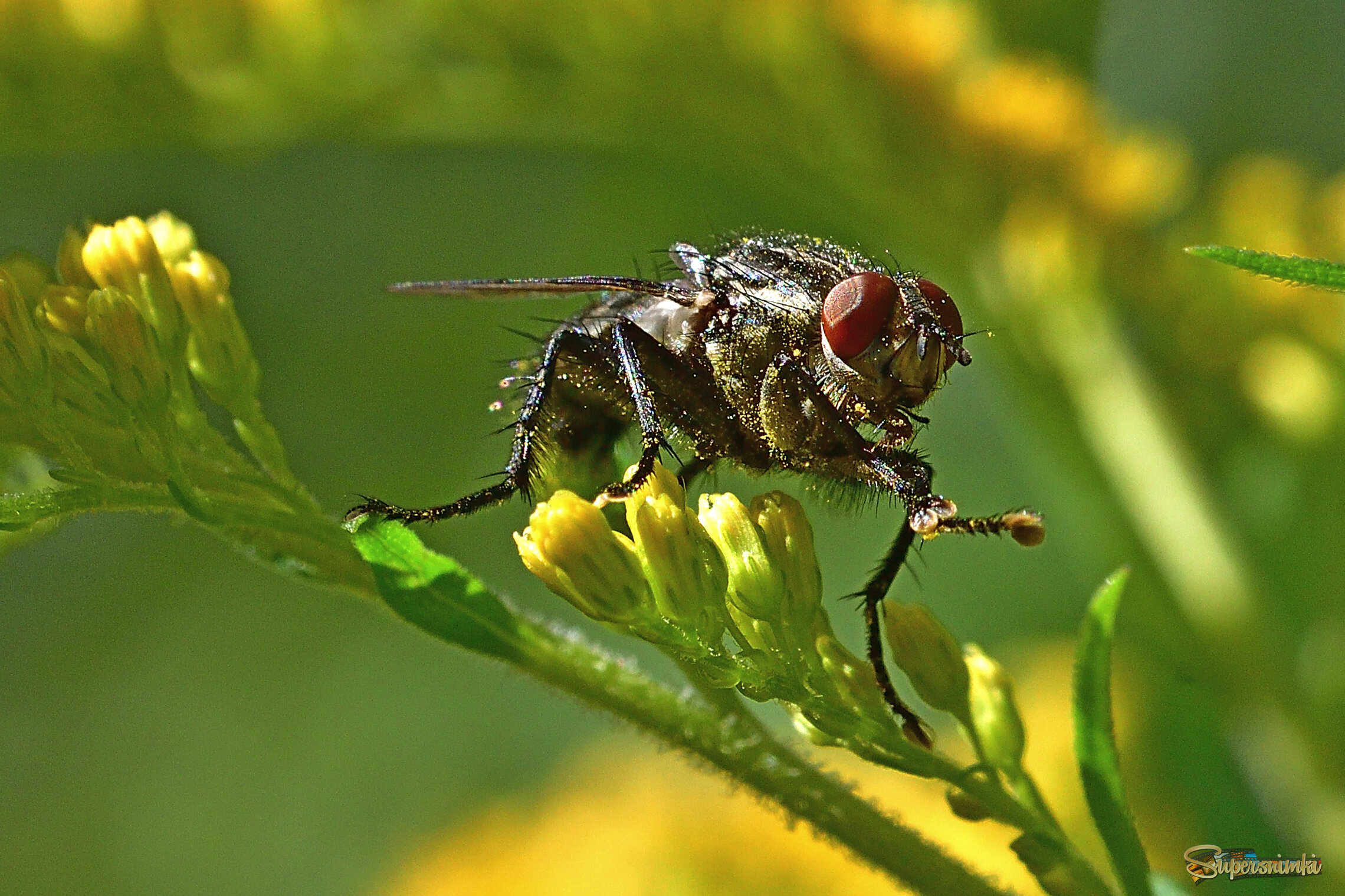 68a5cd2ada7e836a4ddcdd5b