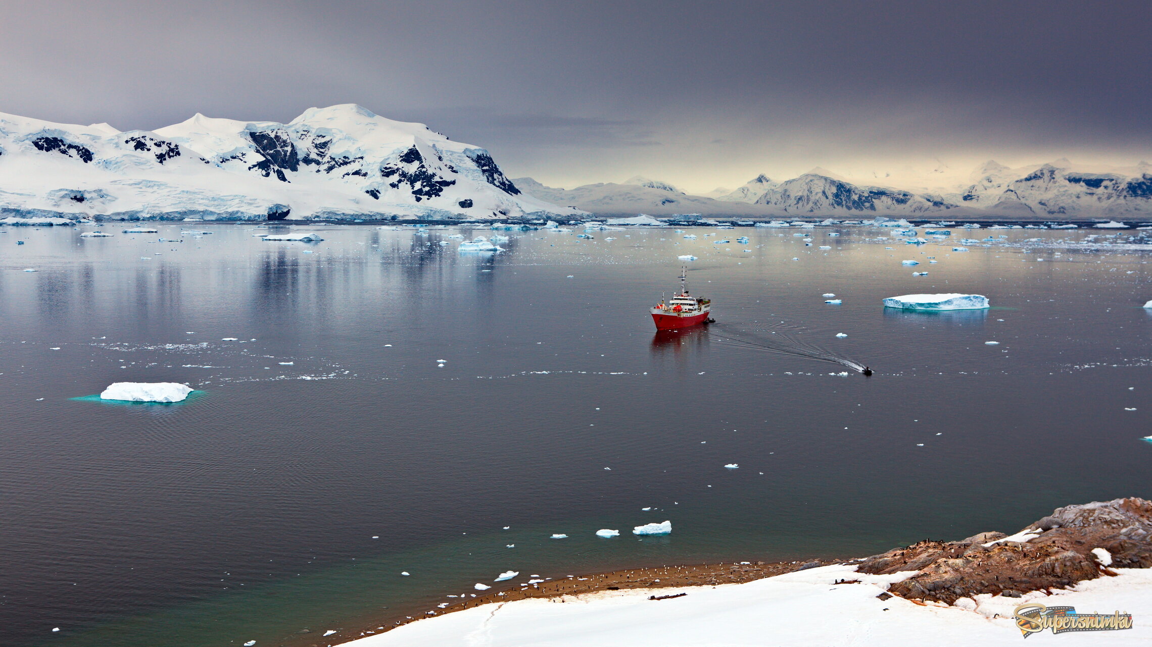 В гостях у пингвинов