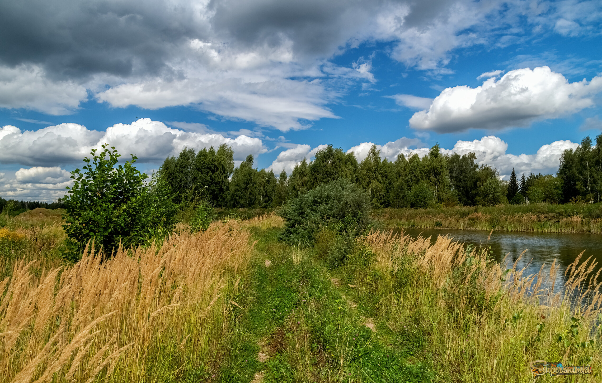 Вторая половина Августа 5