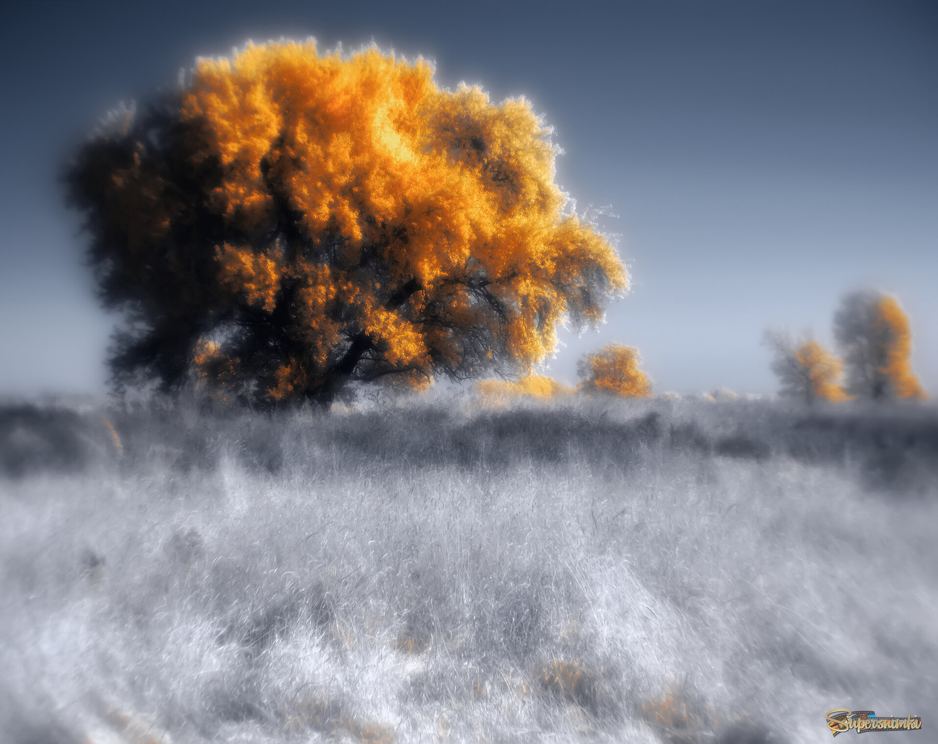 Осень дарит ветер