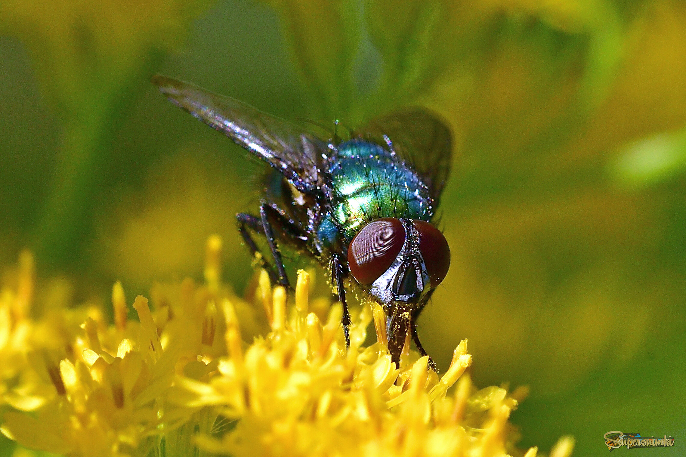 68a740fbaff3b2c684dcdd5b