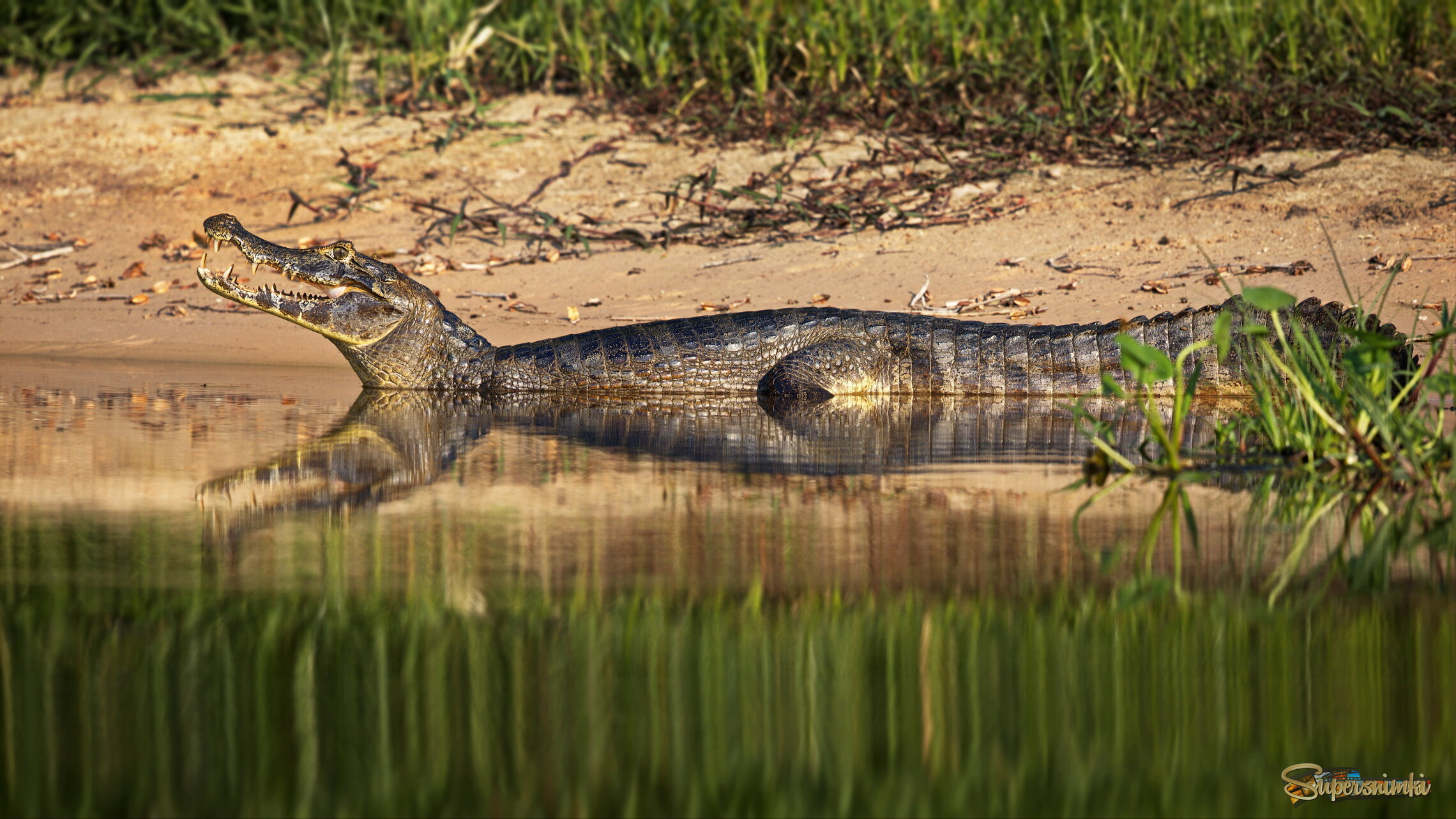 Вдвойне страшно от отражения