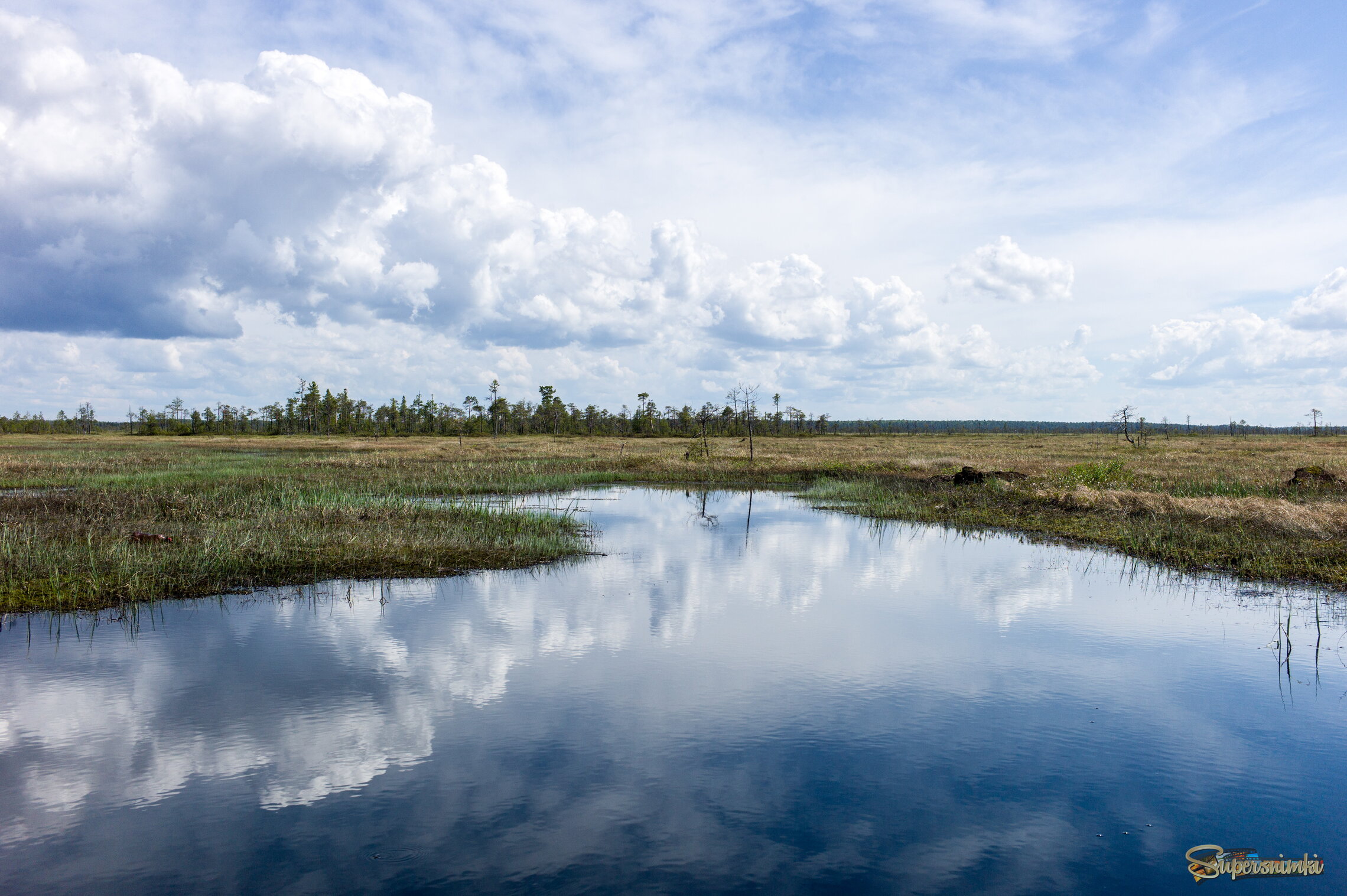 Большое Васюганское болото***