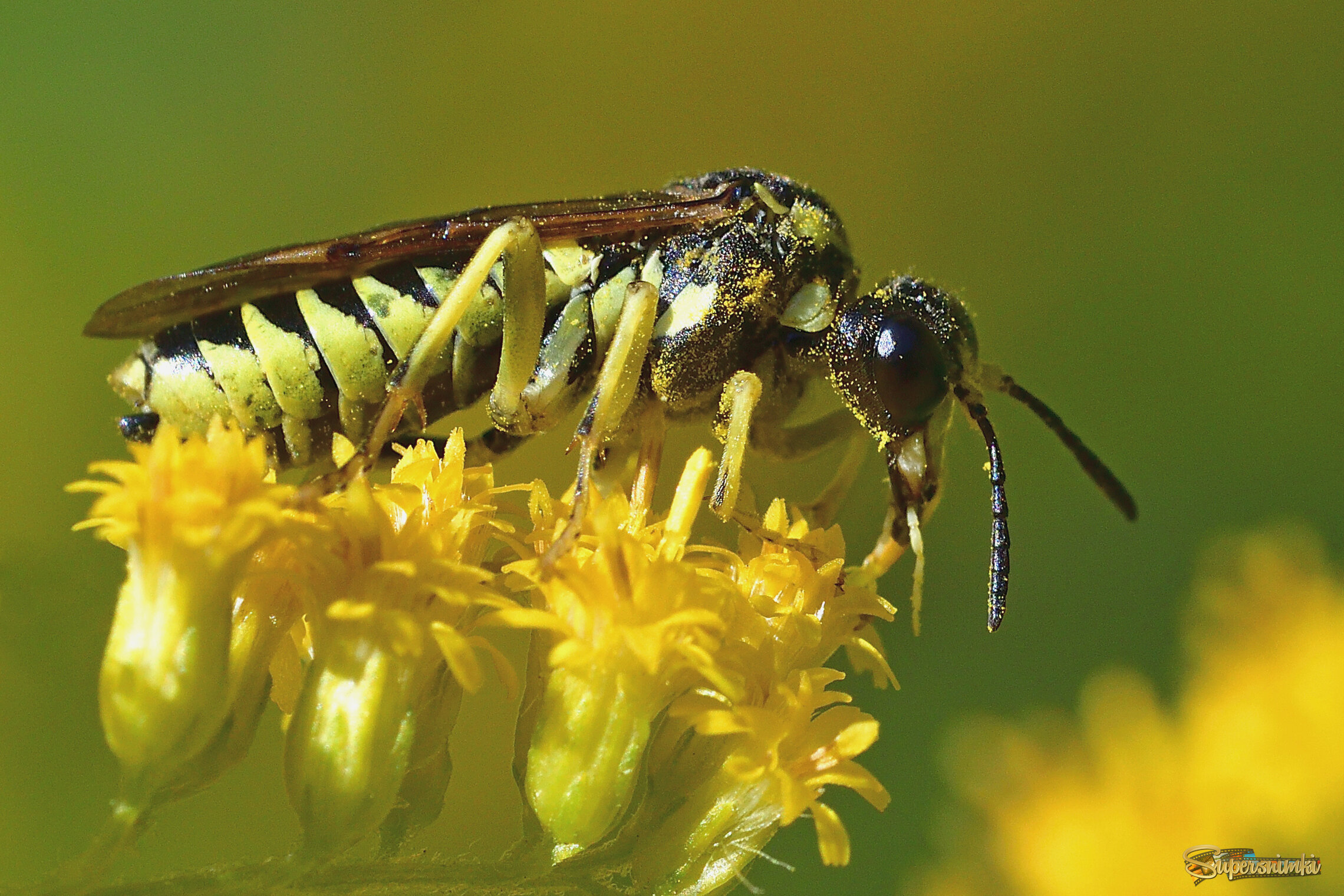 68a861be8c28487d6fdcdd5b