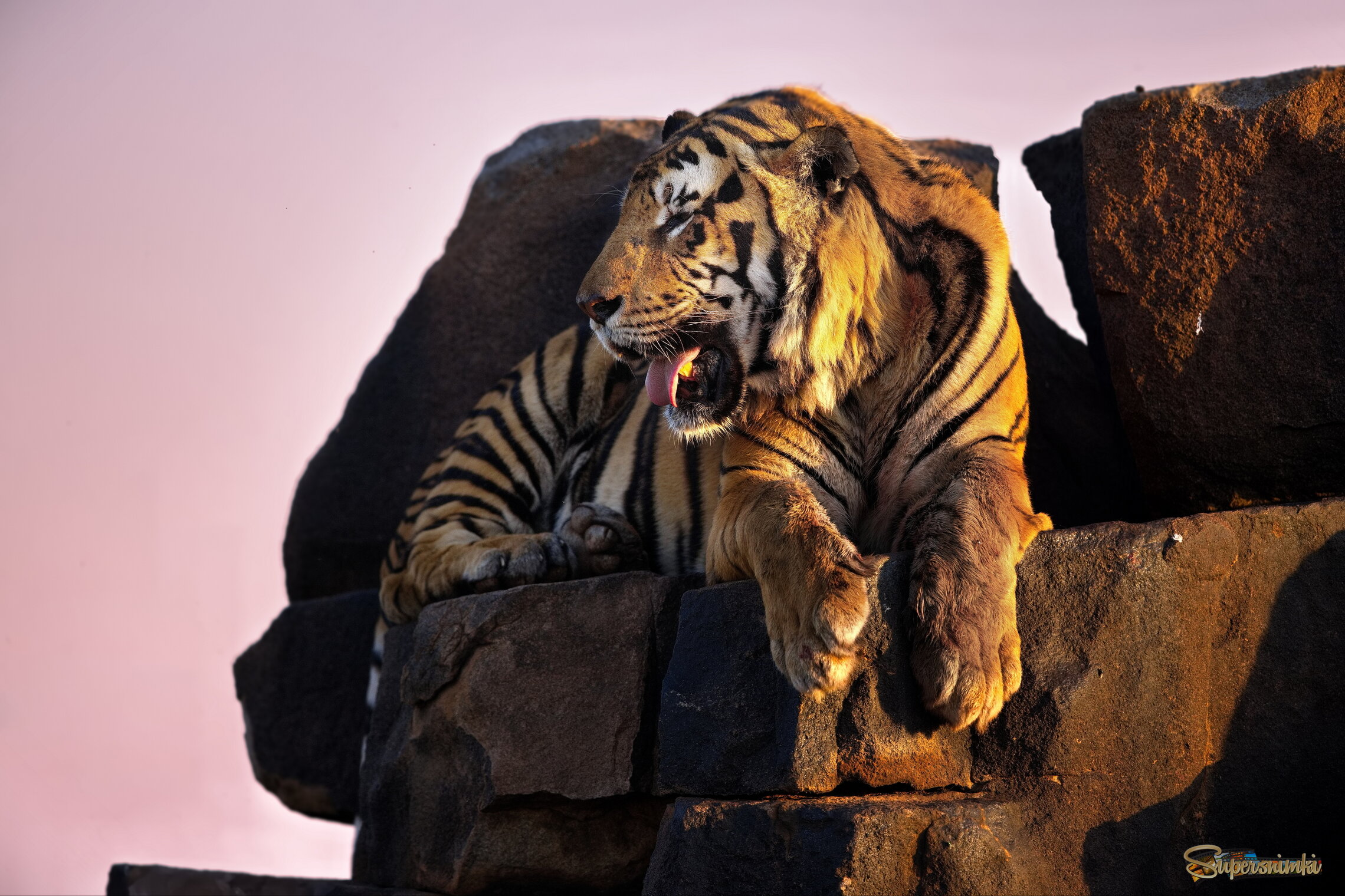 Встречая закат