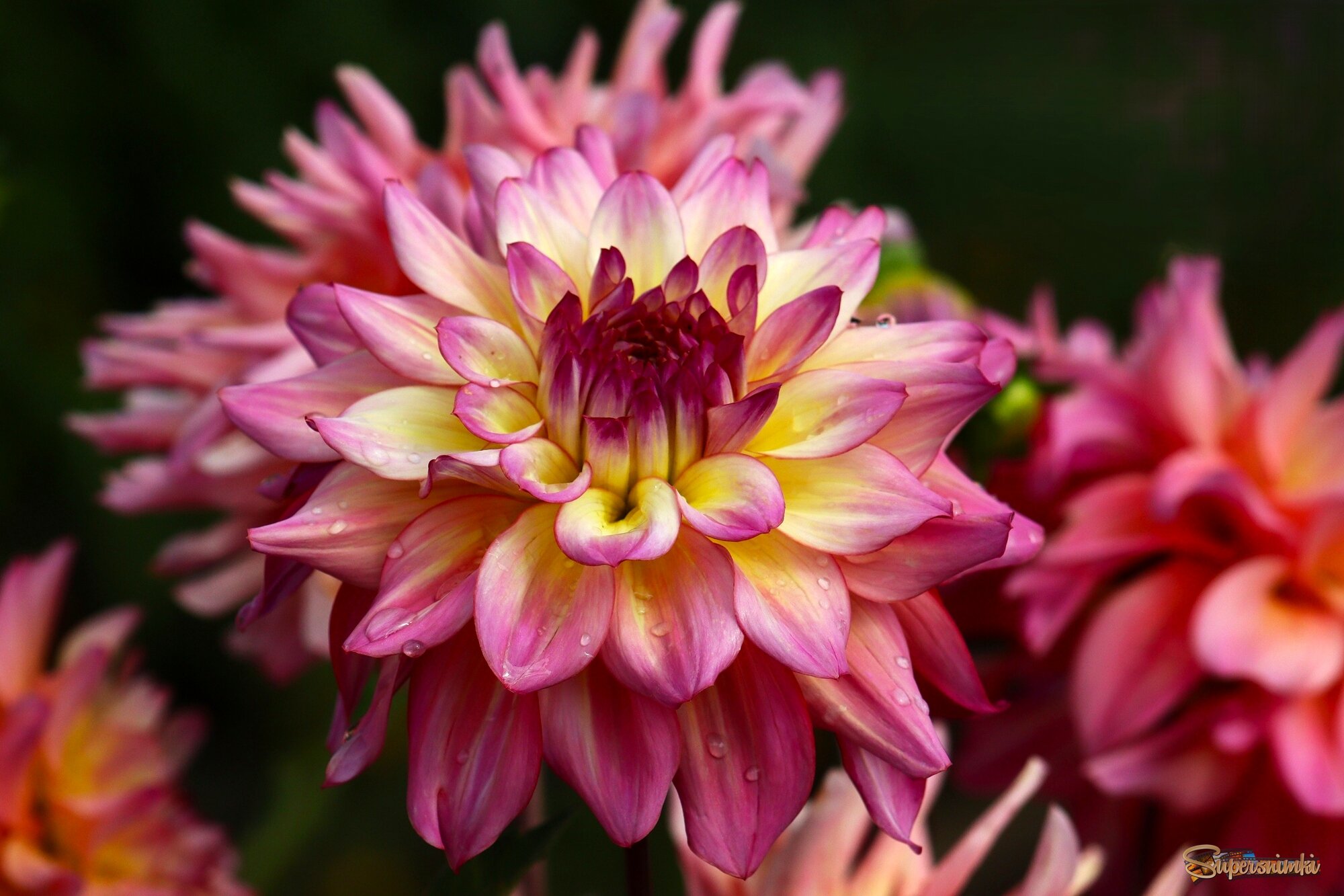 Доброе утро