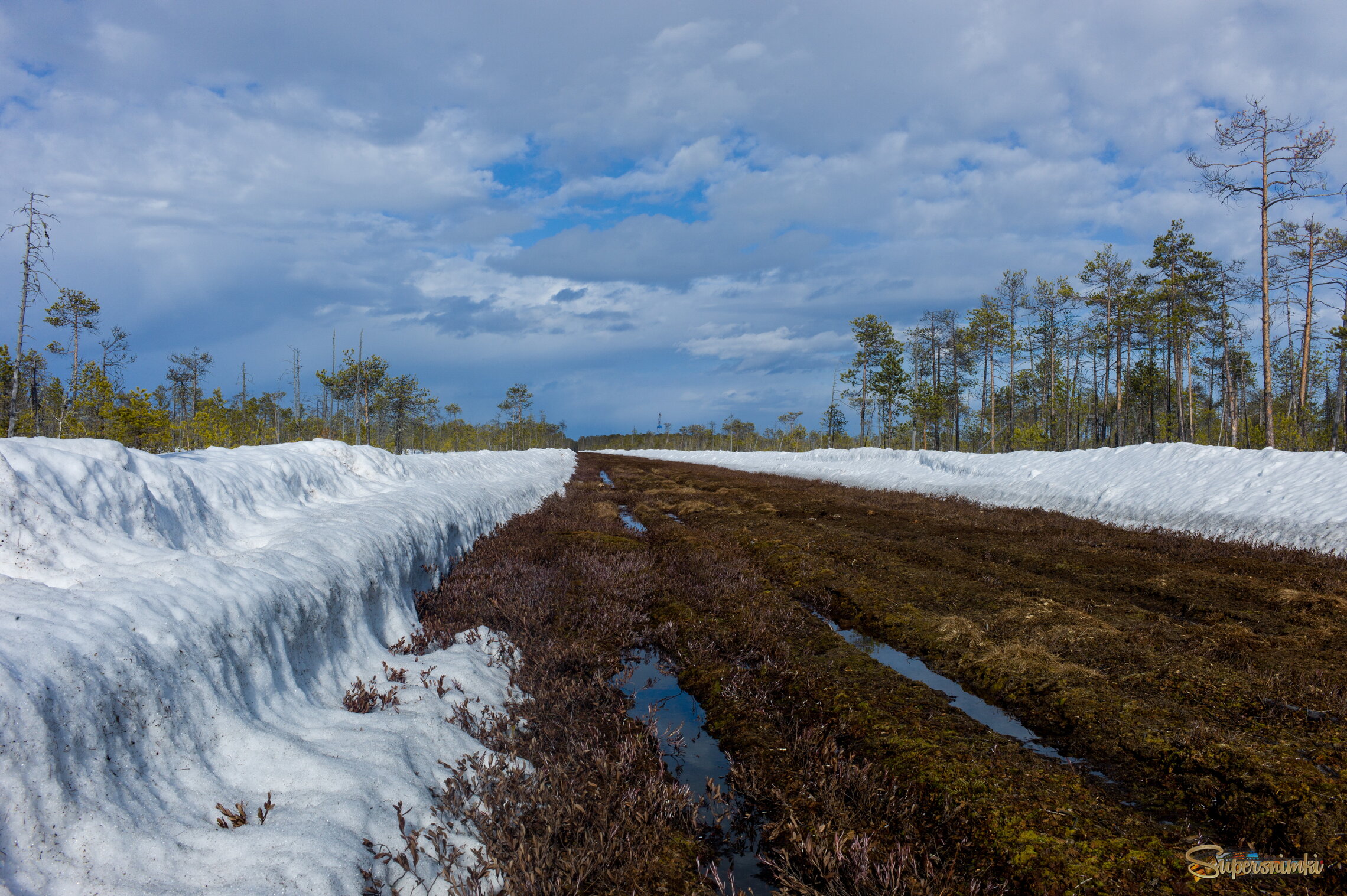 Большое Васюганское болото***