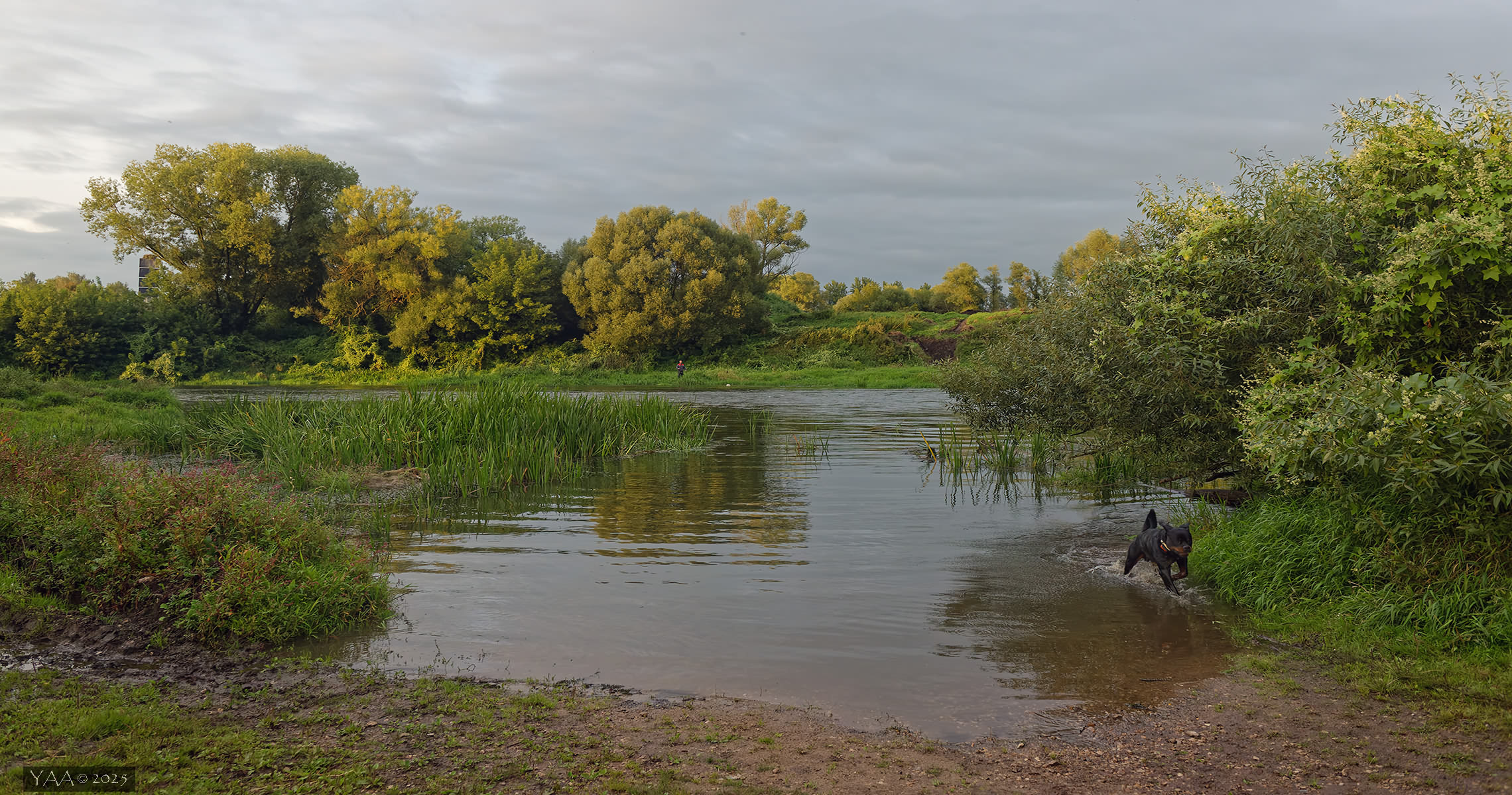  🌝Субботним вечером выглянуло солнце..🌞