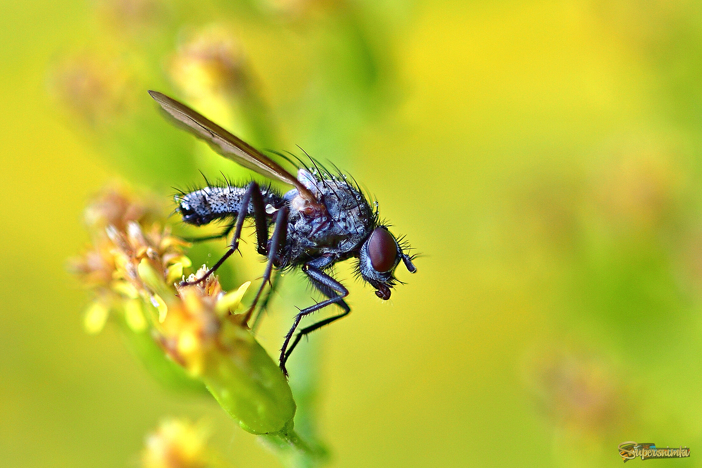 68a9db035a5c21b94fdcdd5c