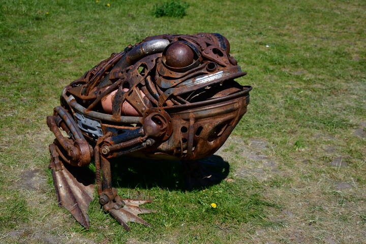 Frog..