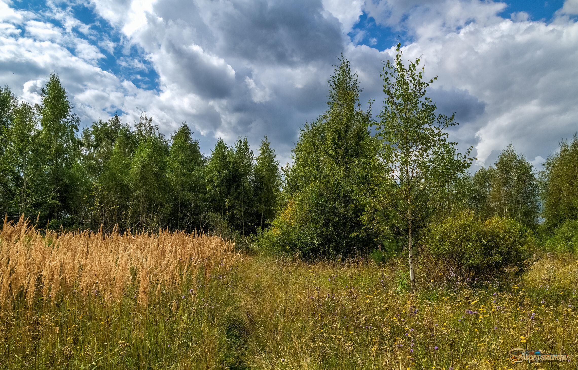 Вторая половина Августа 10