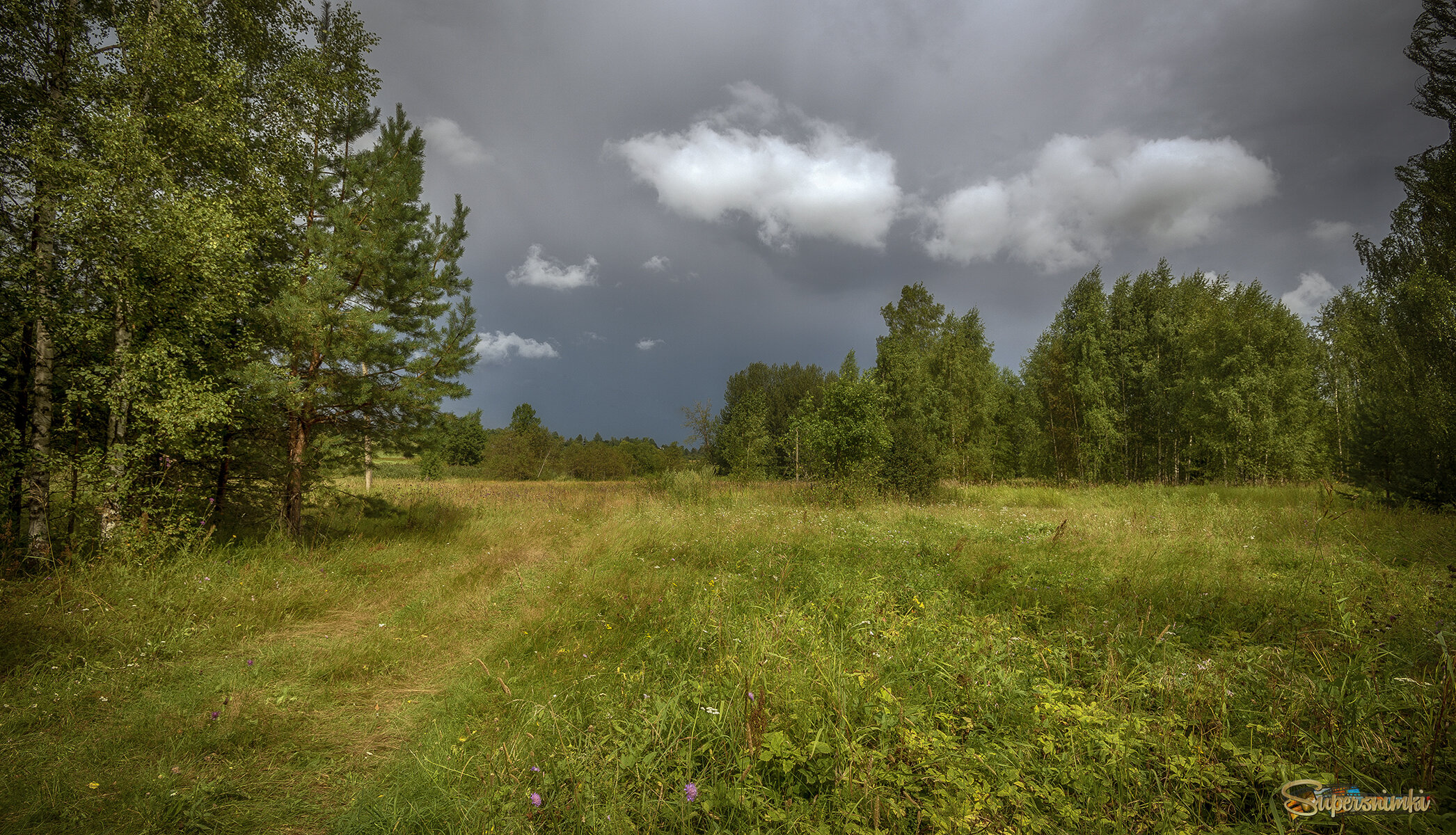 Перед дождём