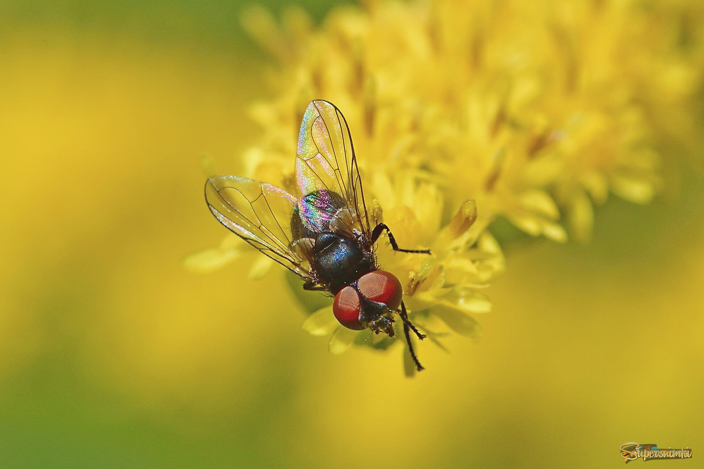 68ac8410c7952144addcdd64