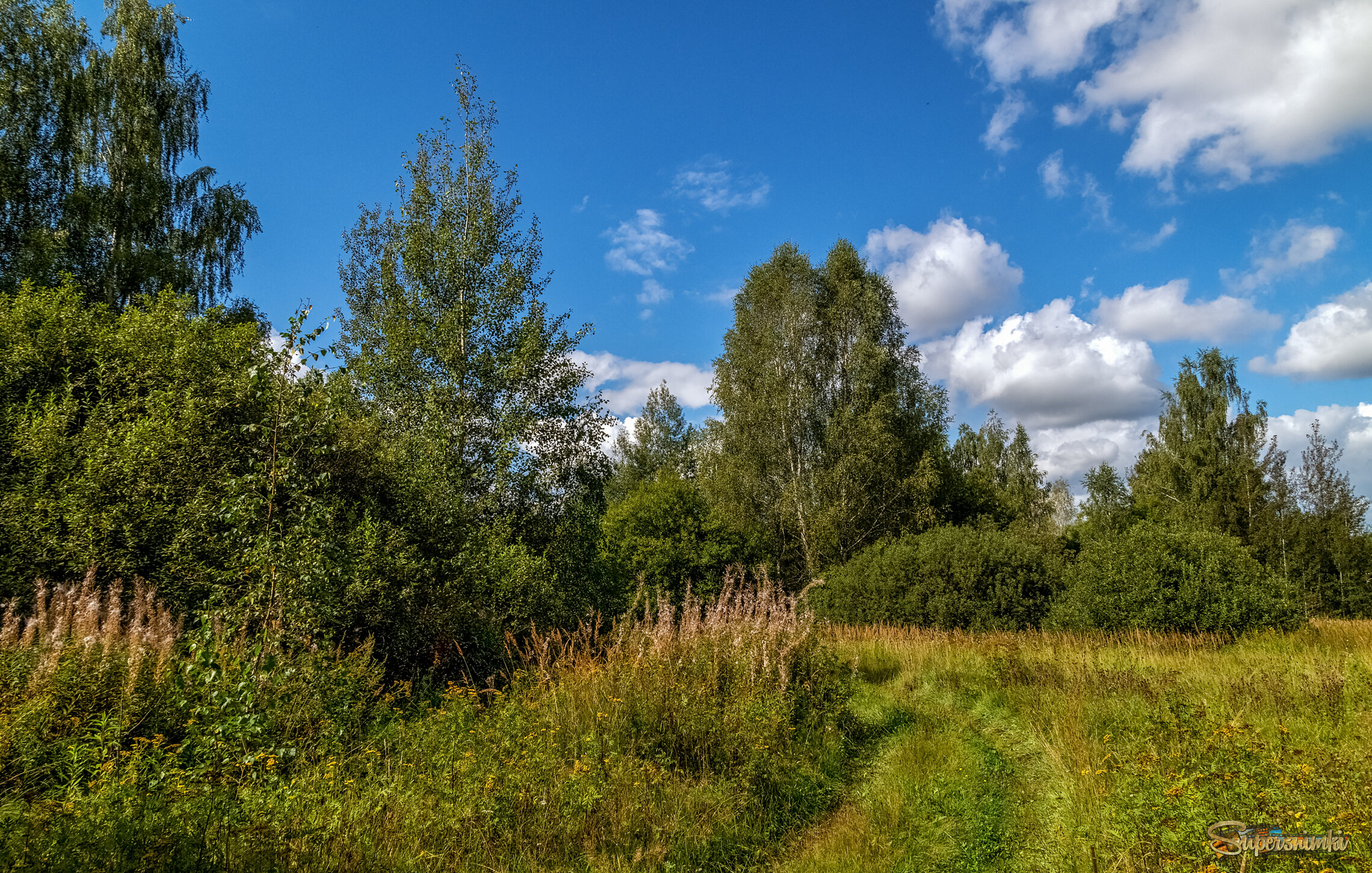 Вторая половина Августа 9 