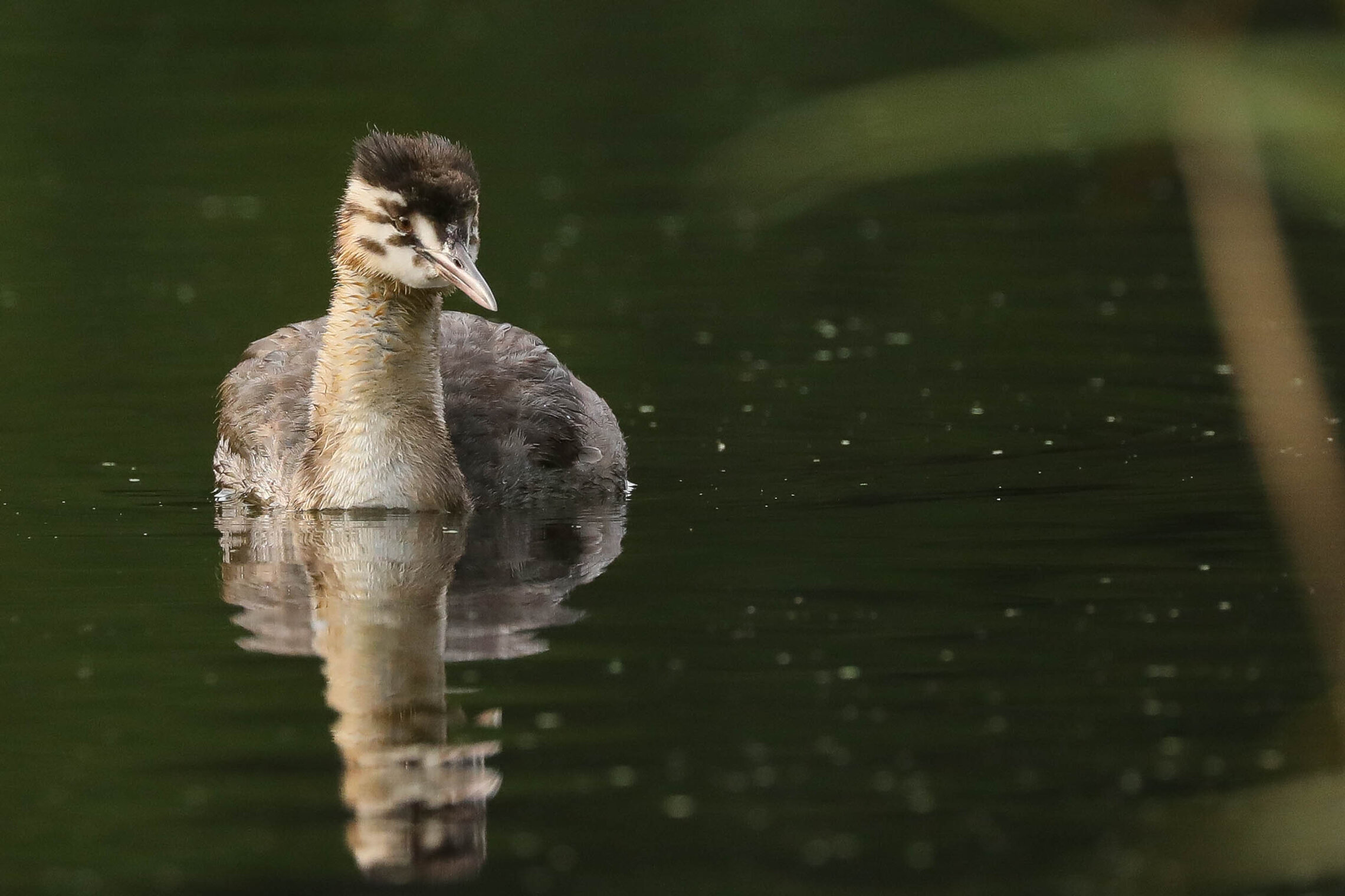Познавая жизнь