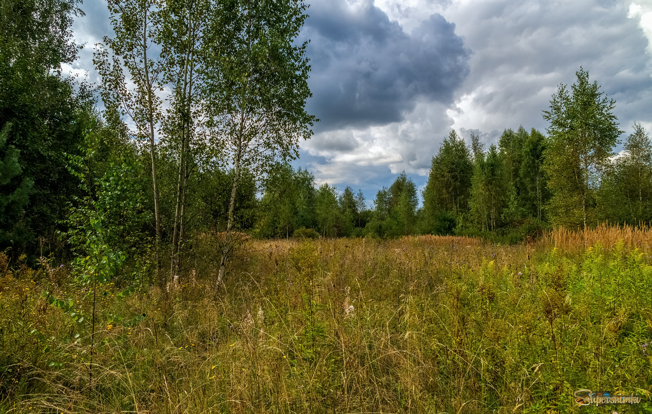 Вторая половина Августа 11 