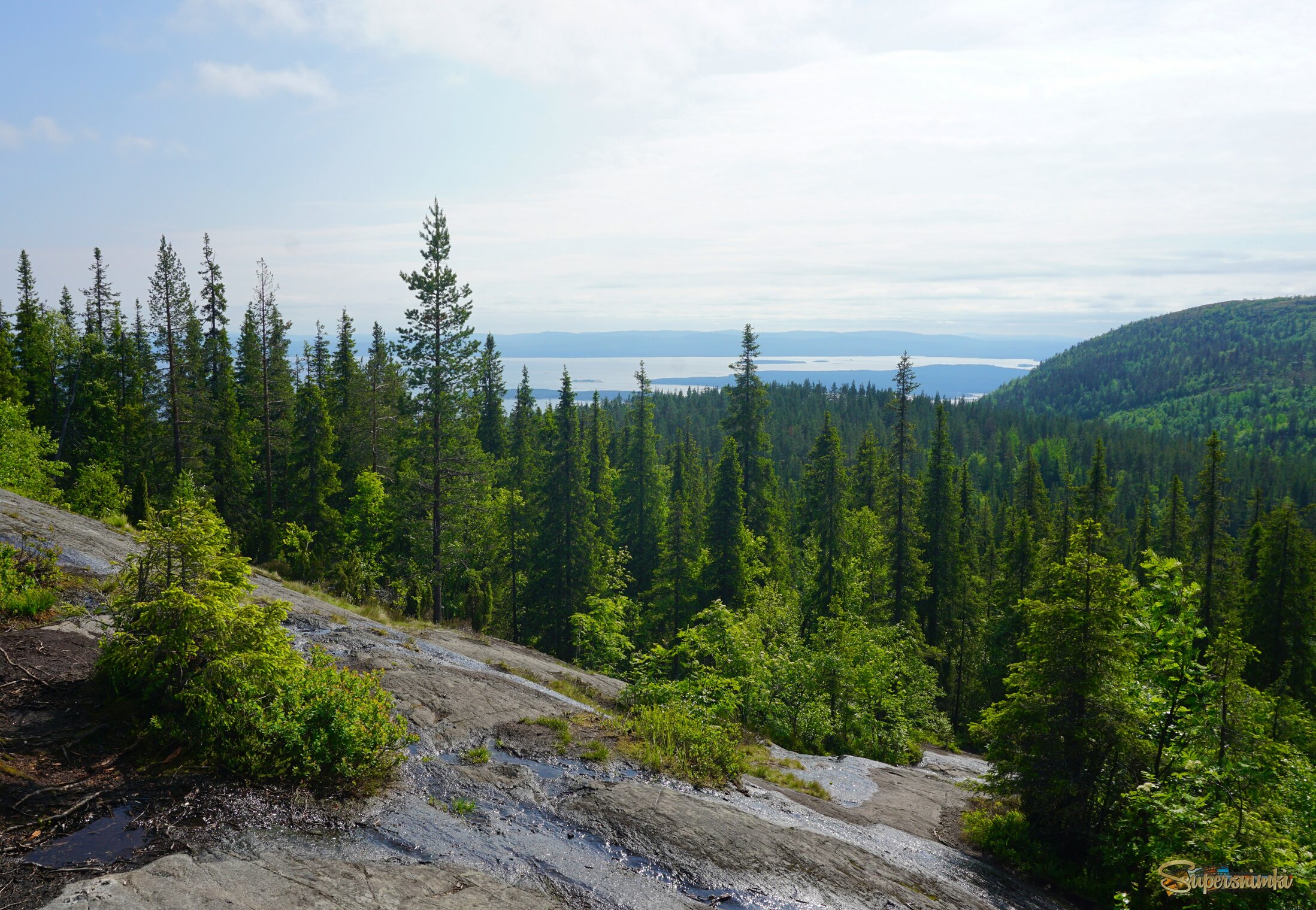 Сопка Волосяная