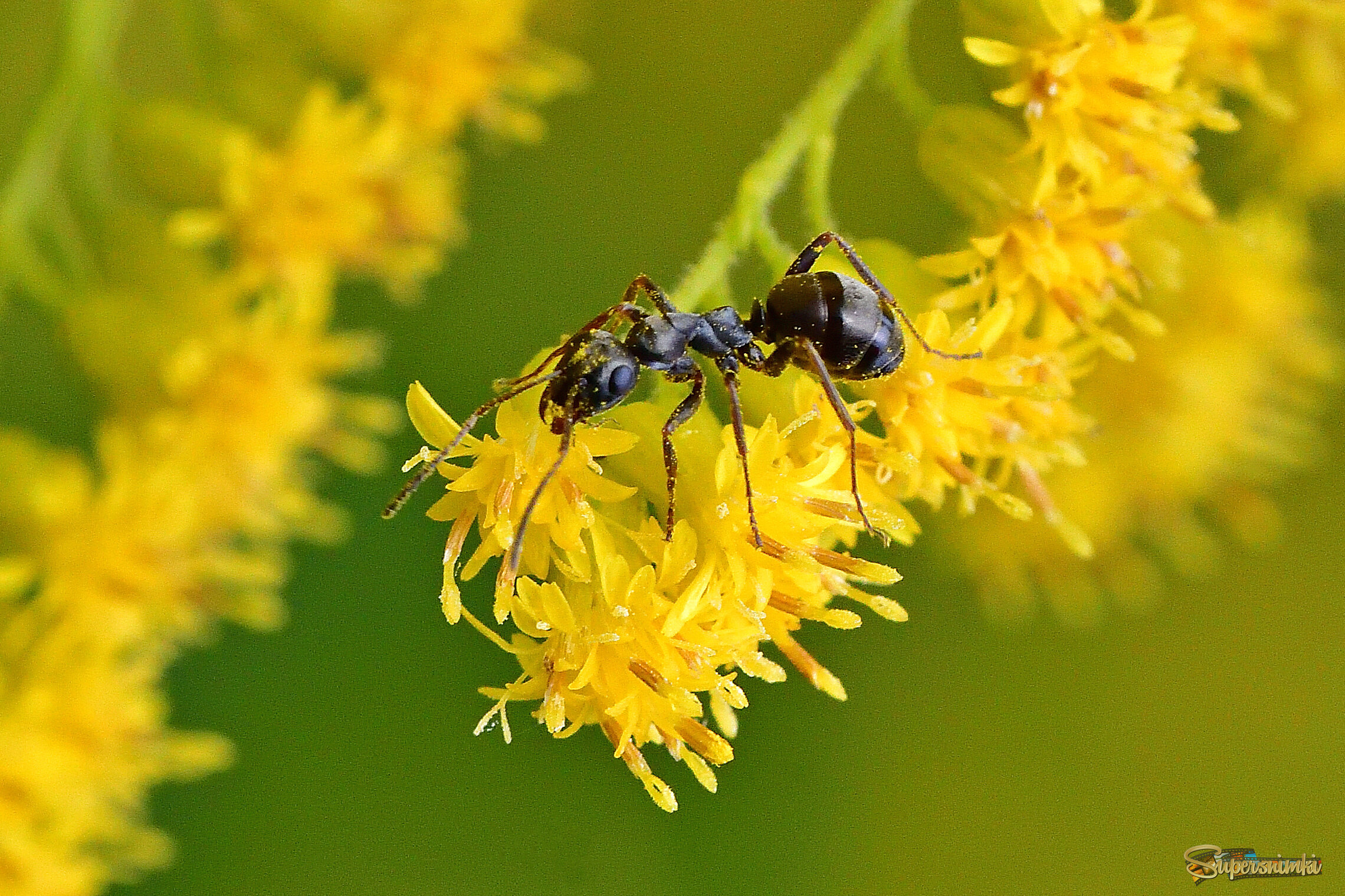 68ad748098c83bab23dcdd5b