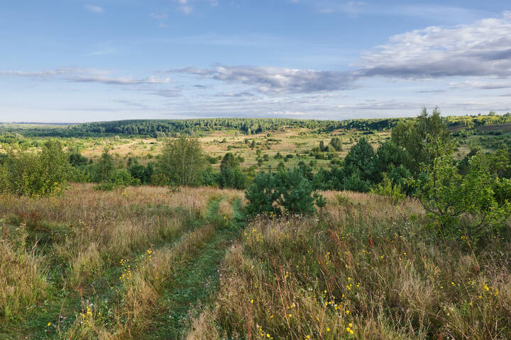 Облачно с прояснениями 