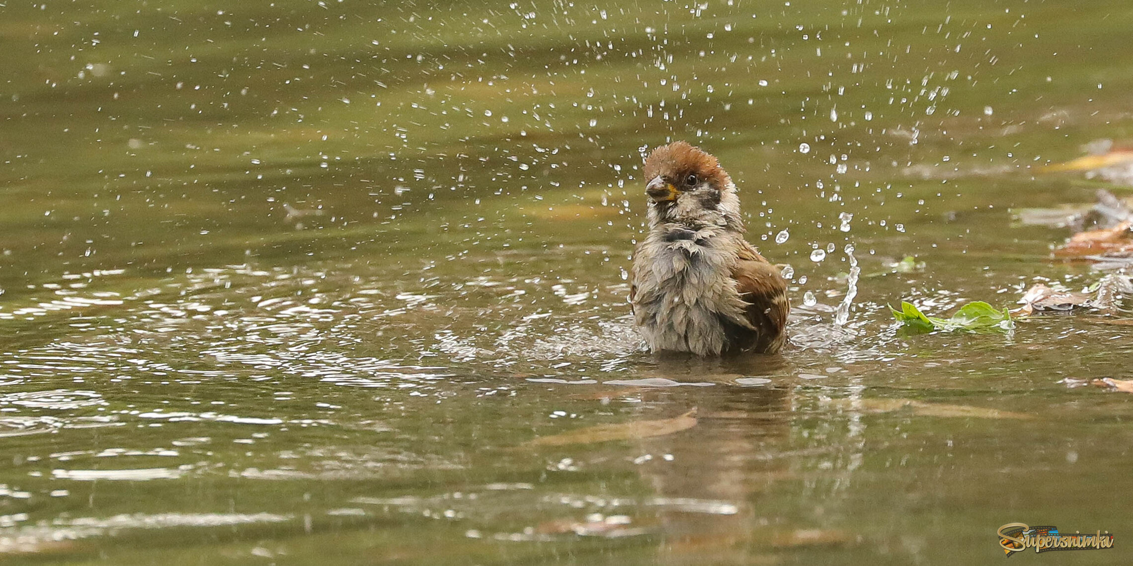 Хороша водичка!