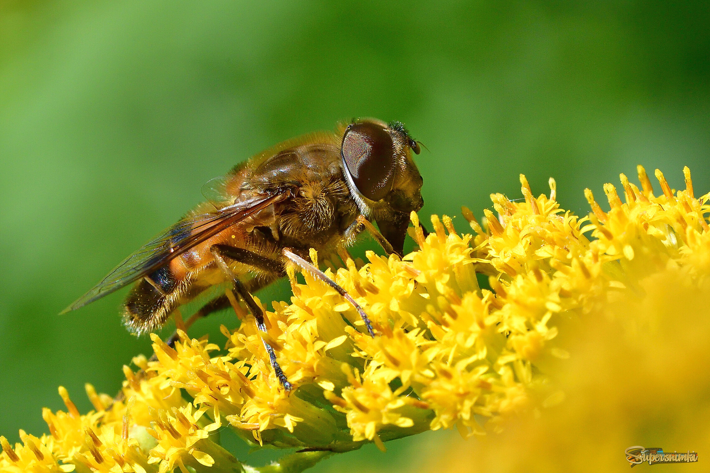 68aeef288c531f5754dcdd5f