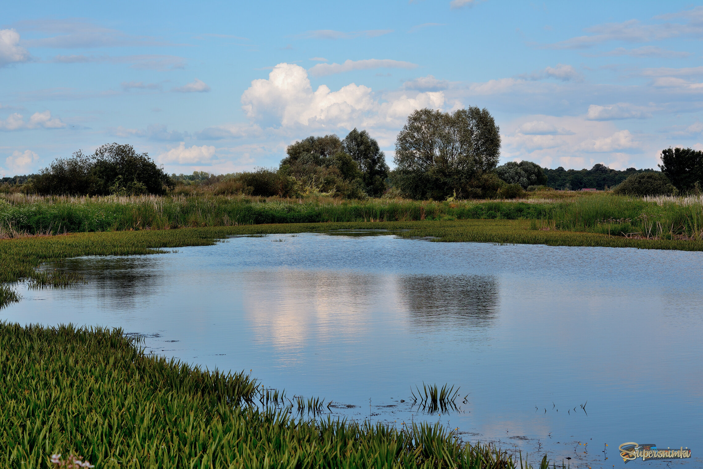 Осень в лугах