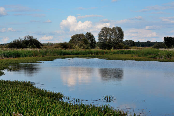 Осень в лугах