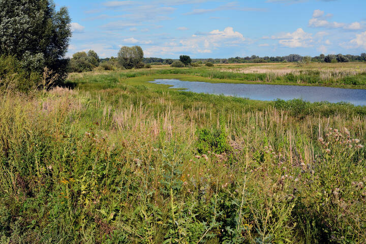 Осень в лугах