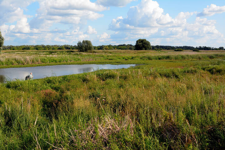 Осень в лугах