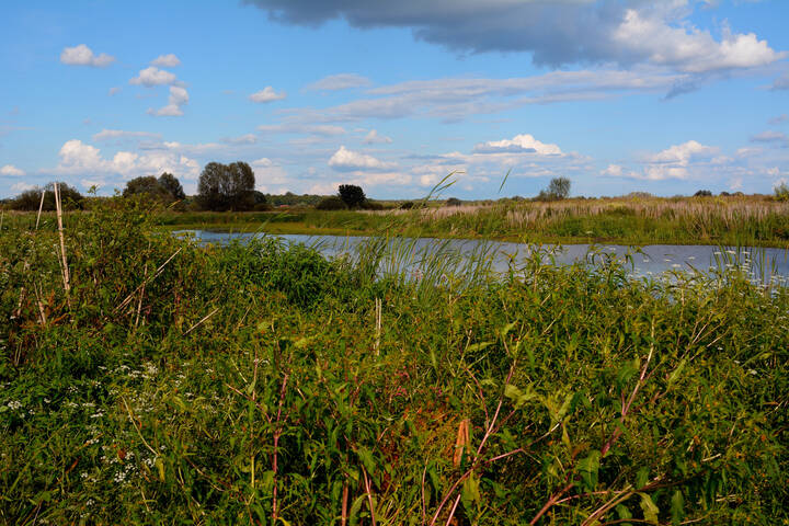Осень в лугах