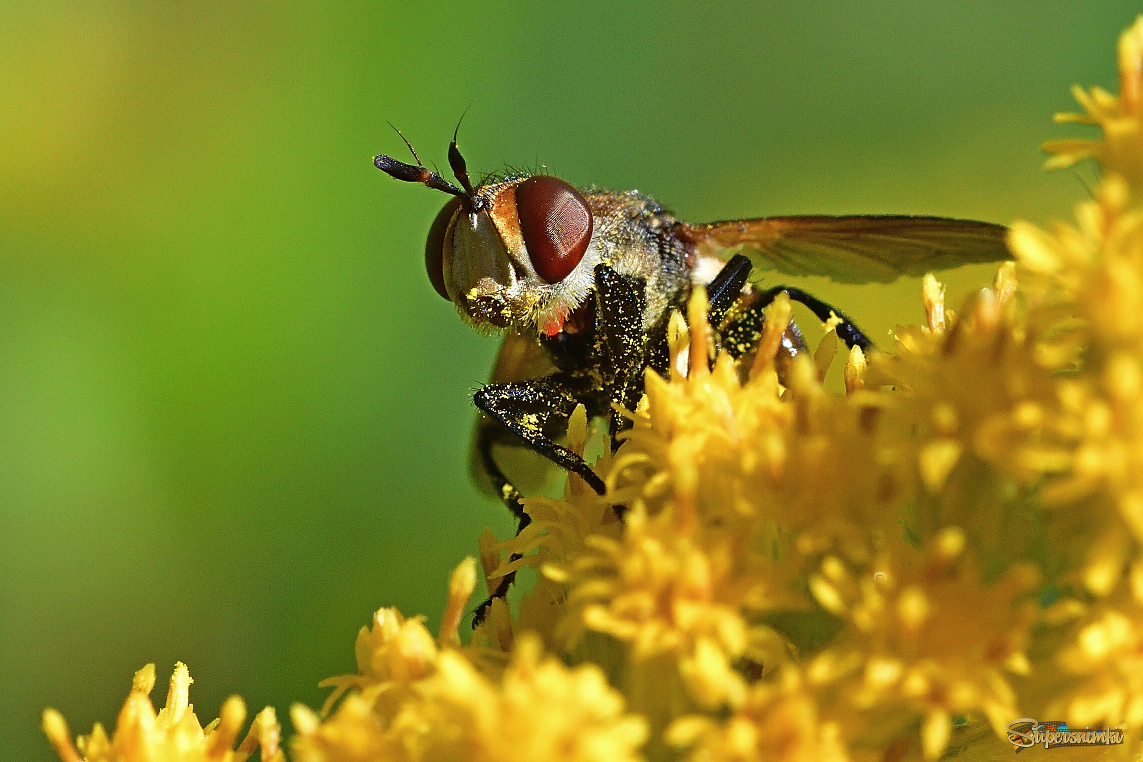 68b0bcd16b0e29e983dcdd5b