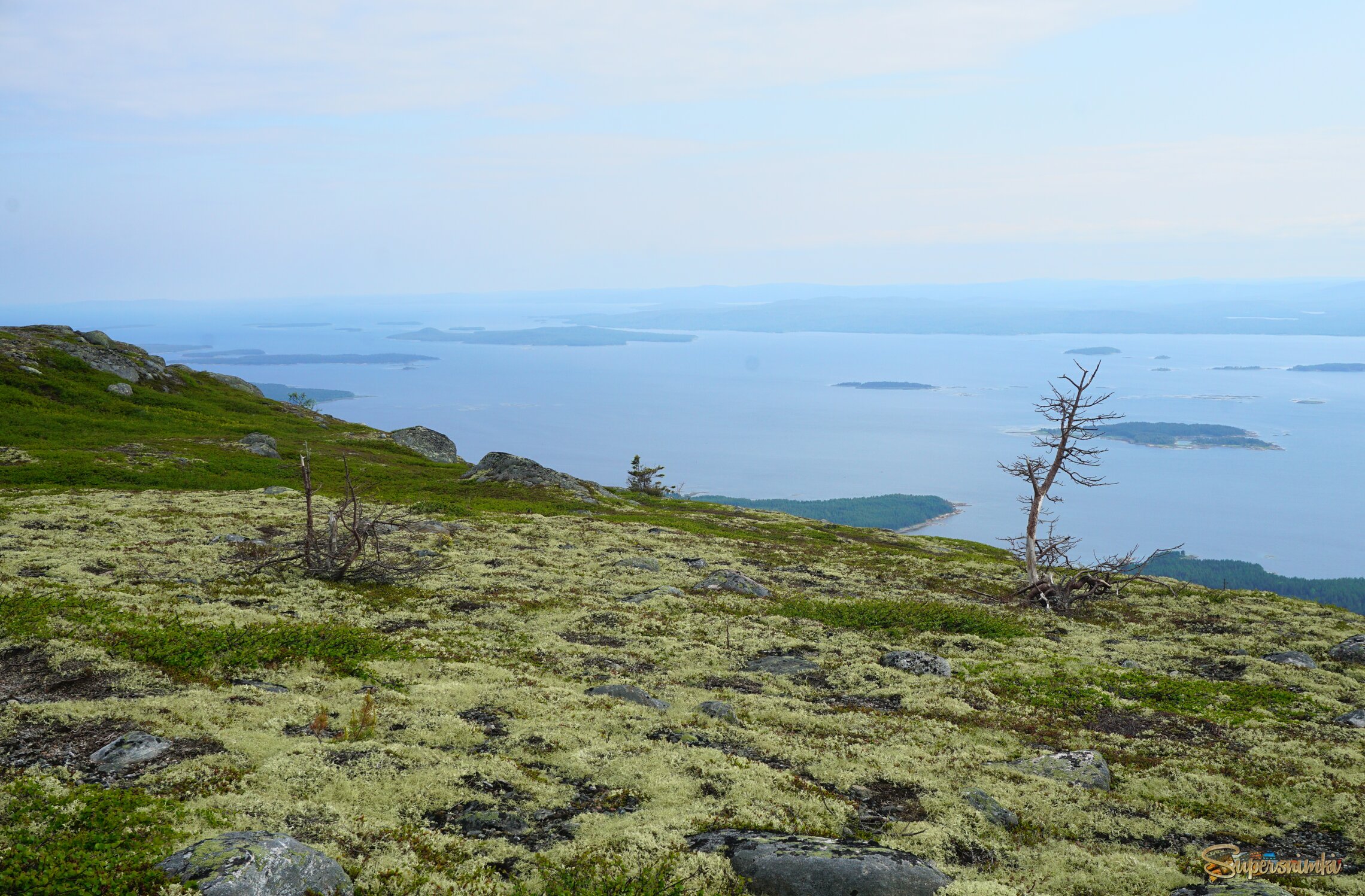Тундра на Волосяной