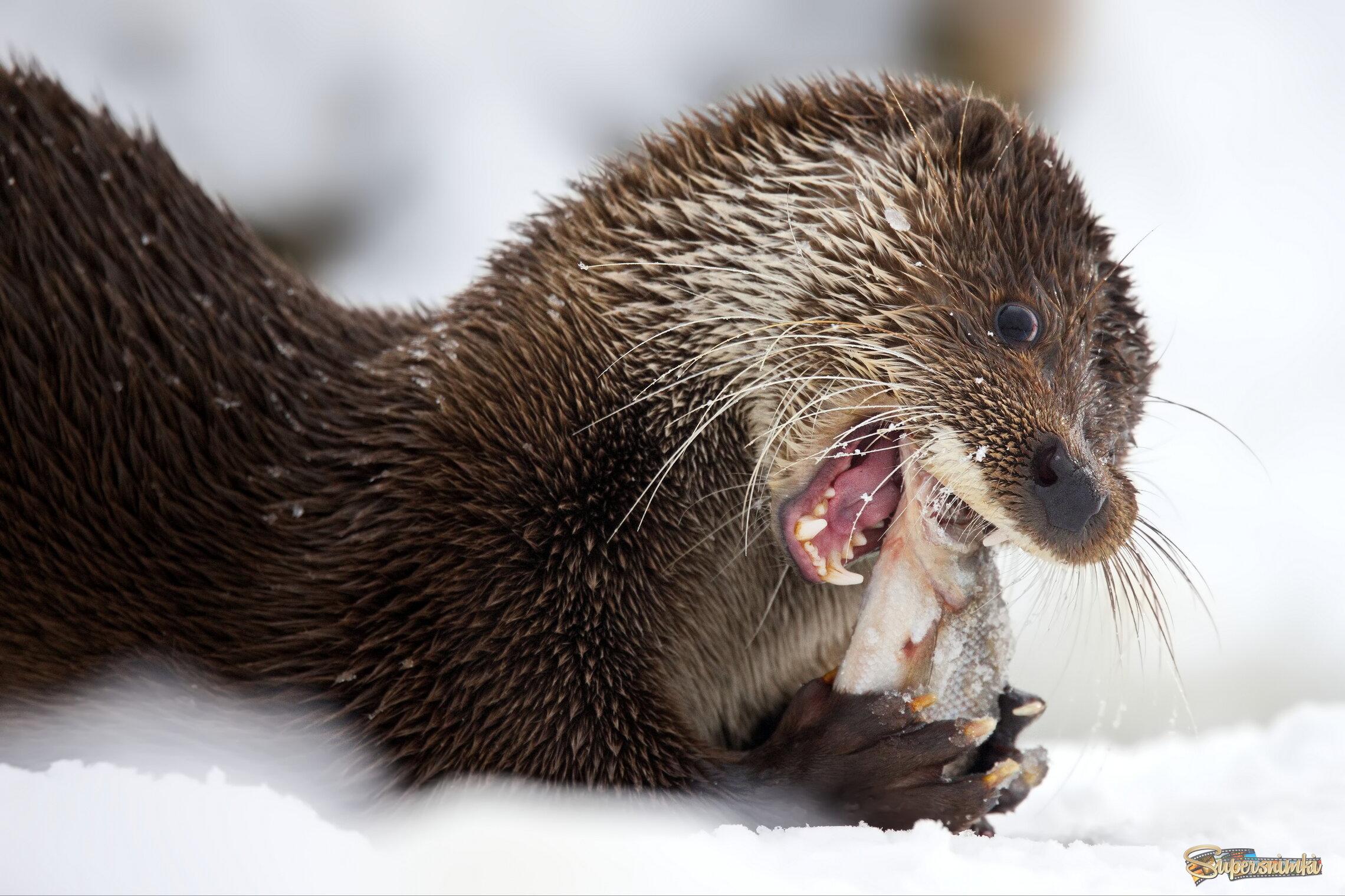 Вкусно - и точка!