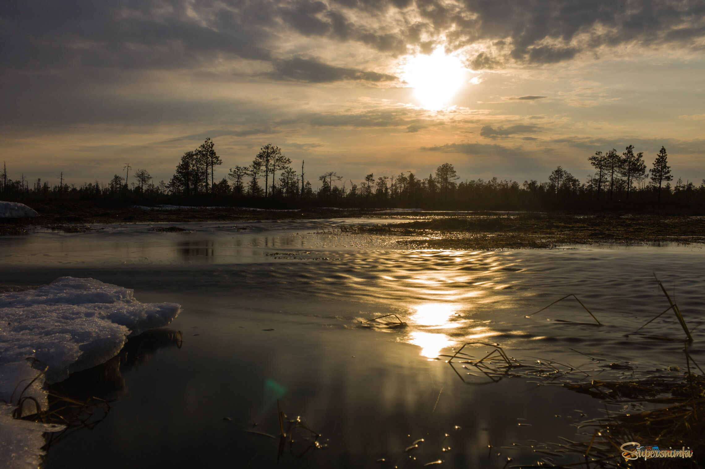 Большое Васюганское болото***