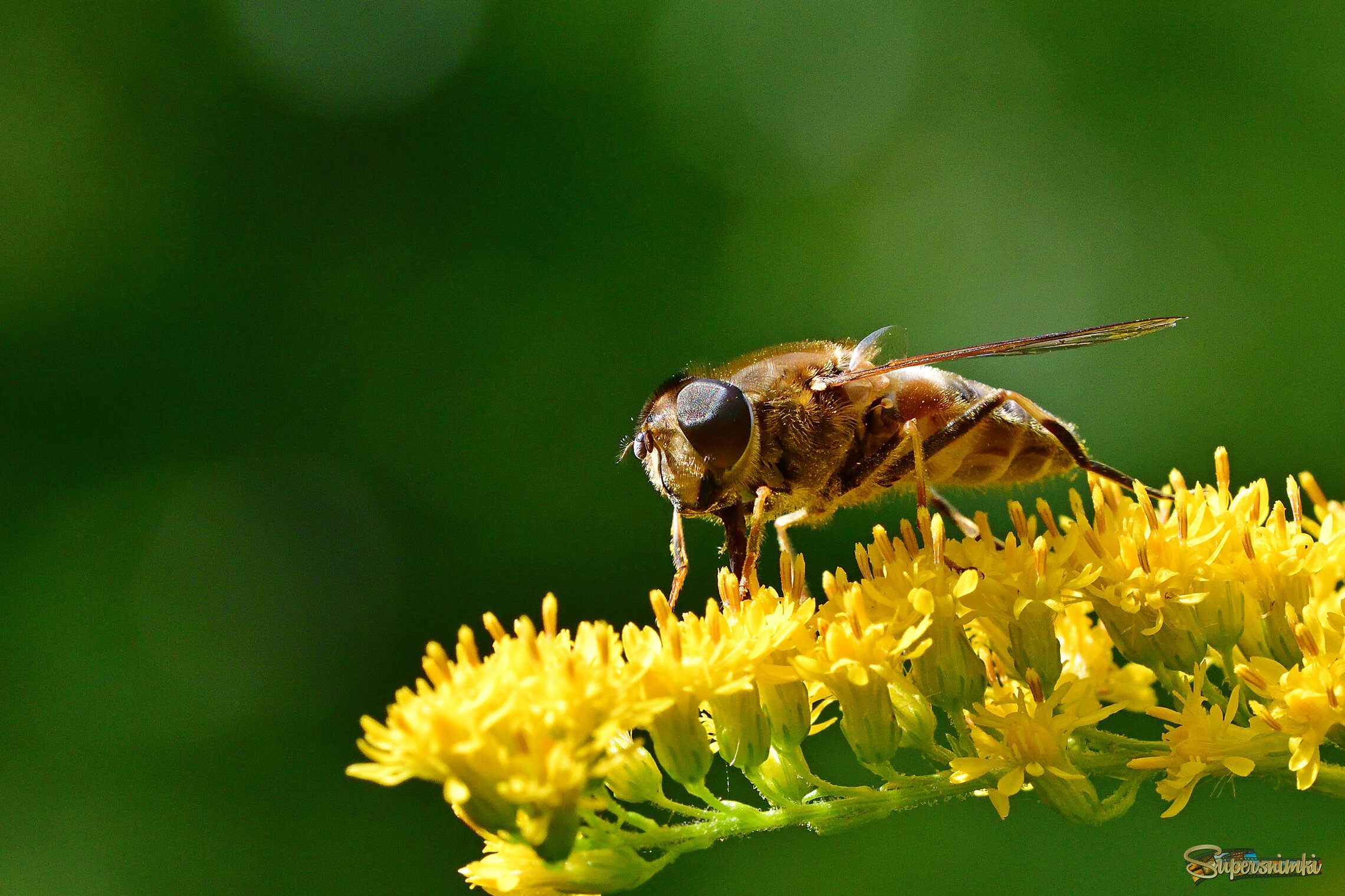 68afec7f635bdf34f1dcdd5d