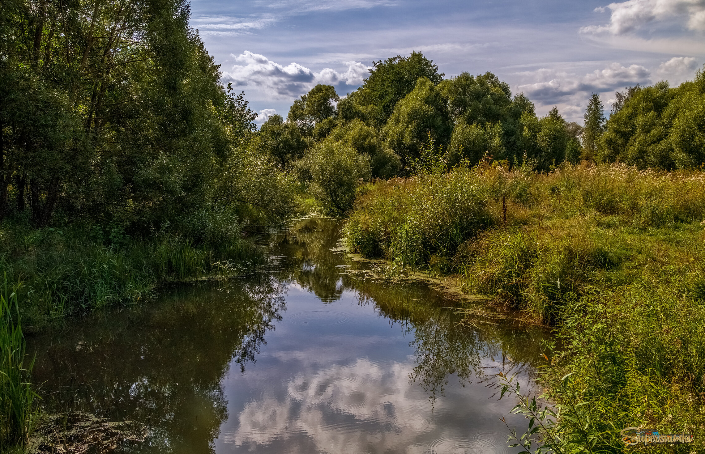 Середина августа 2 