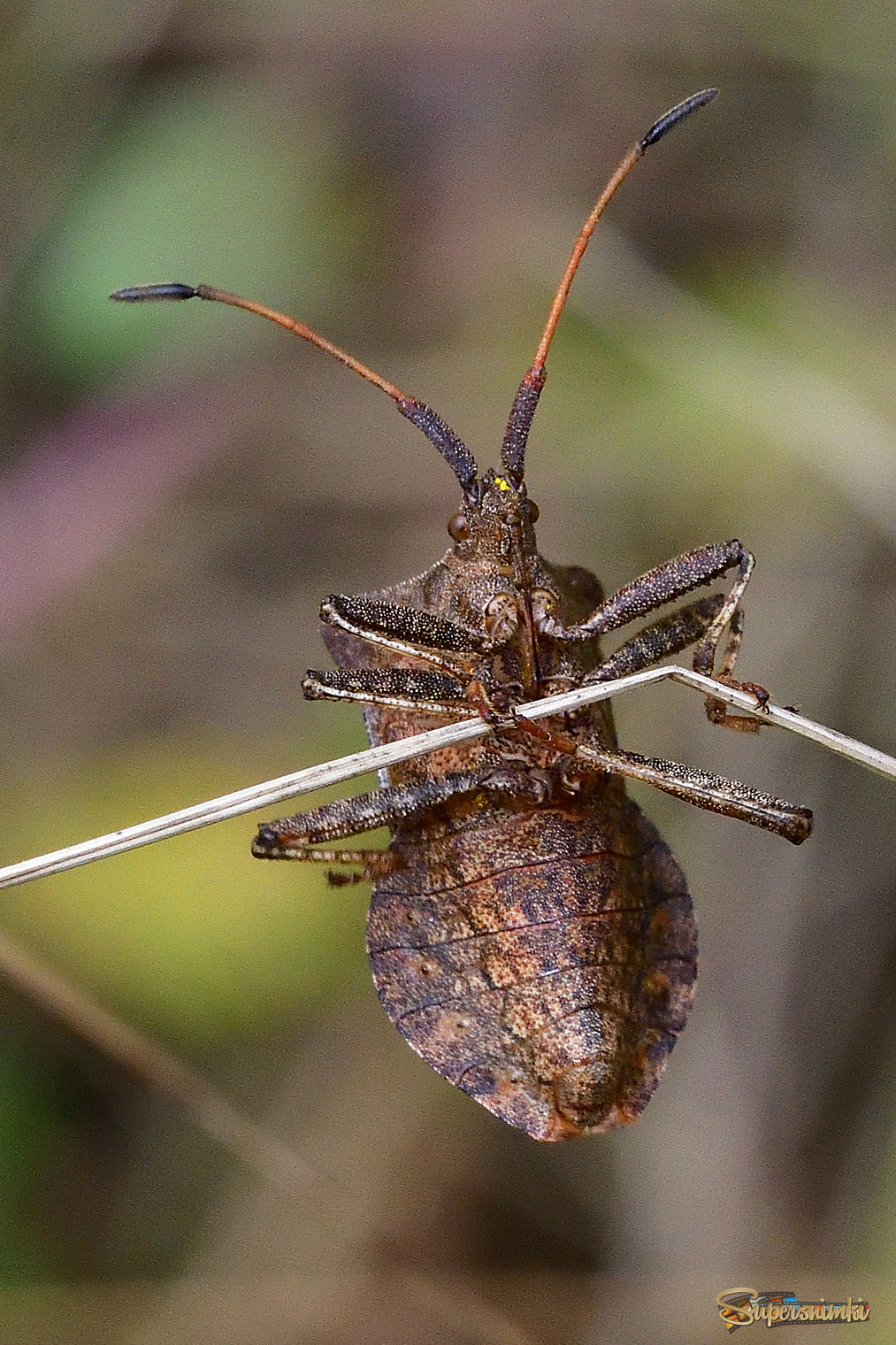 68b1e7a9db9f76fd1bdcdd5c