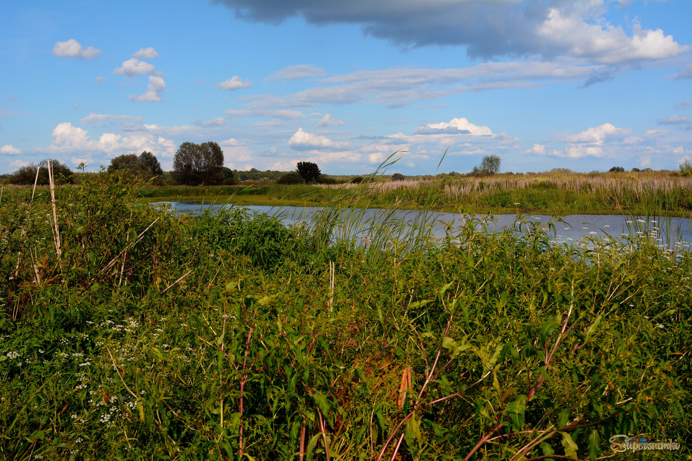 Осень в лугах