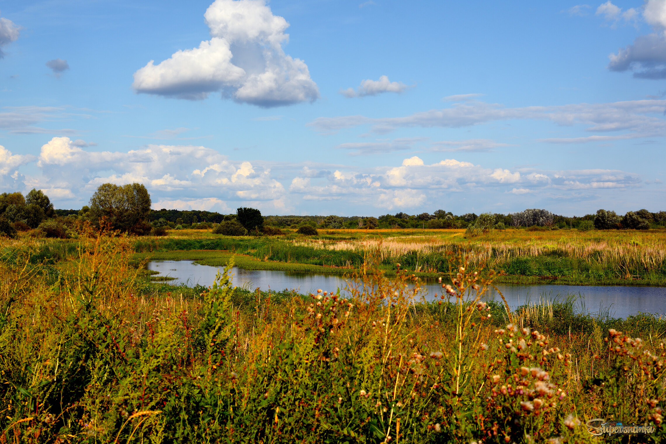 68b14405249fbdd4e9dcdd5b