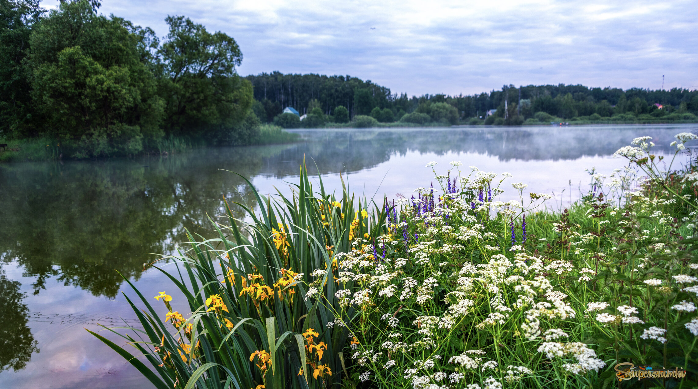 Прохладное утро.