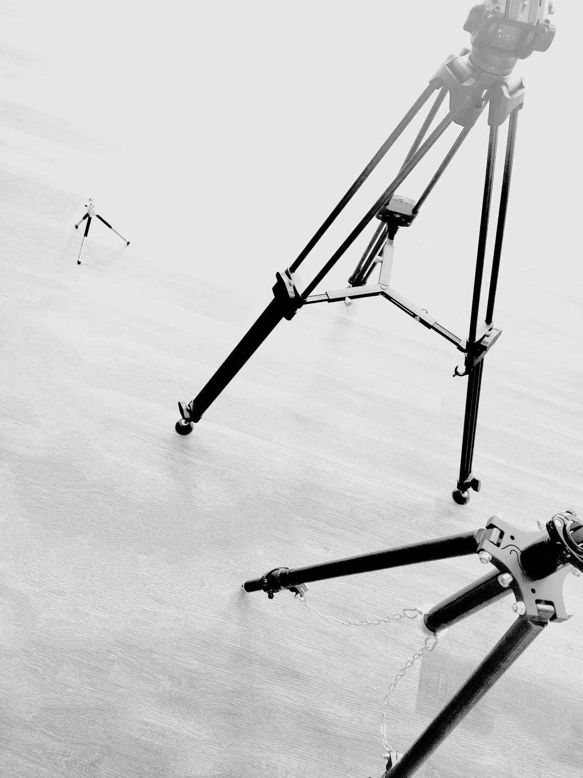 семья заядлых металлистов