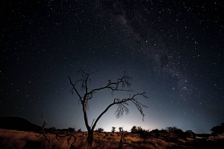 Намибийские истории...