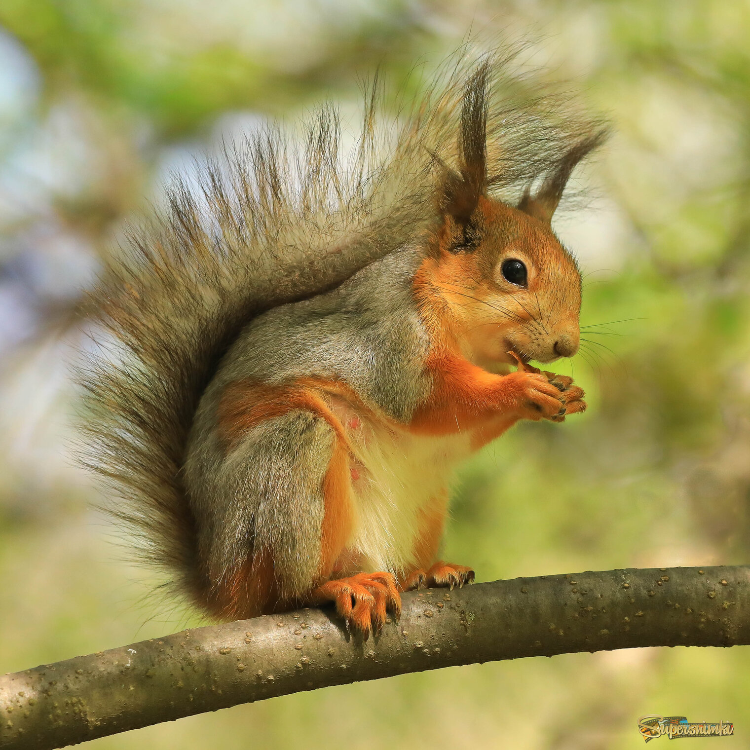 Трудная пора