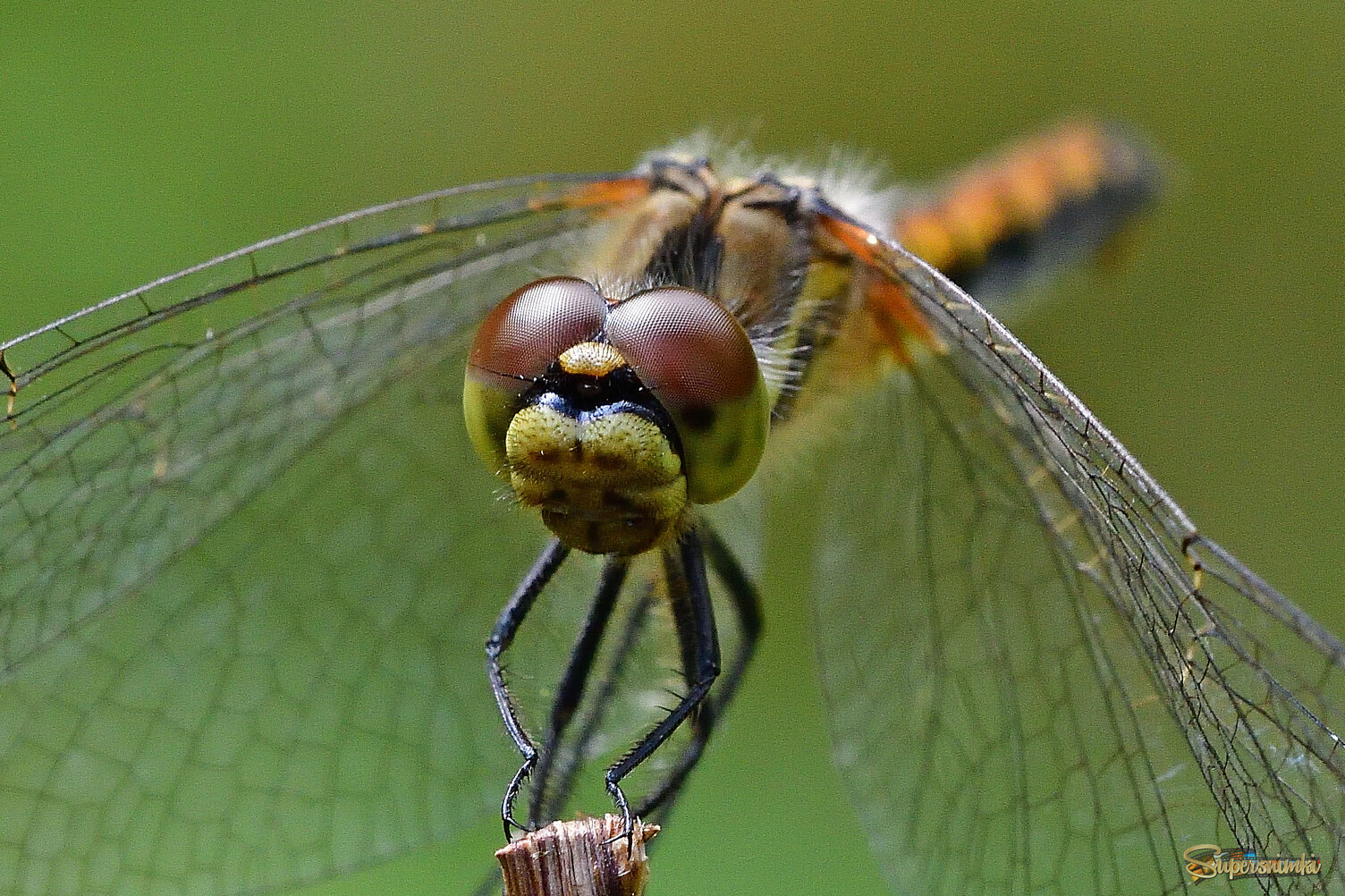 68b44e17eea884fc93dcdd5b