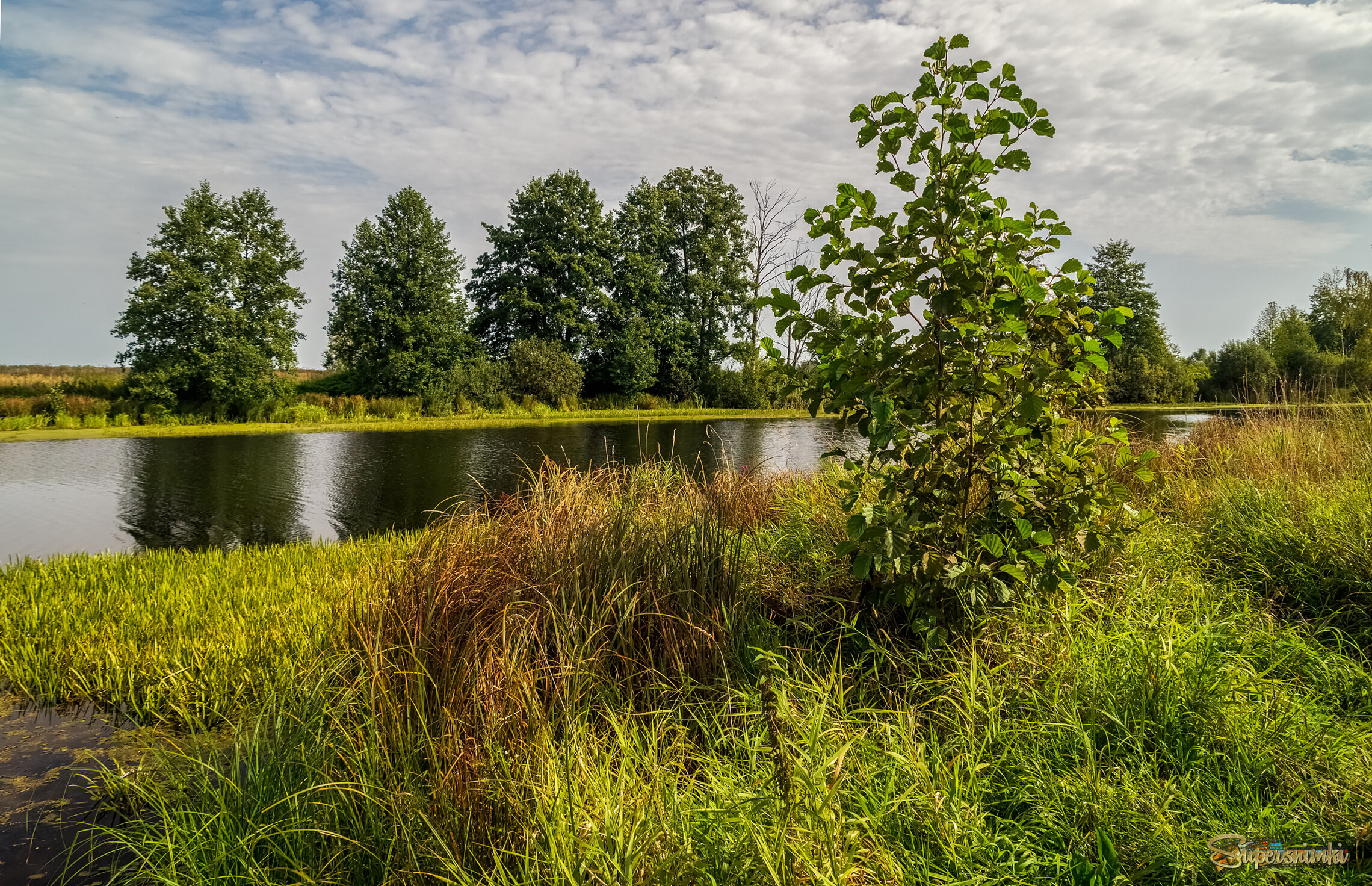 На исходе лета 2 