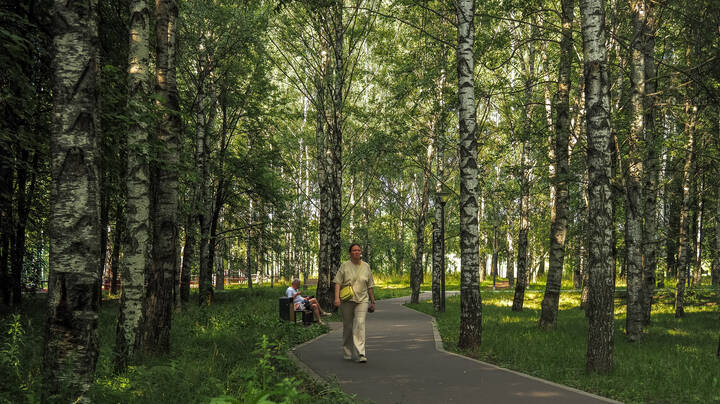 В Летнем Парке