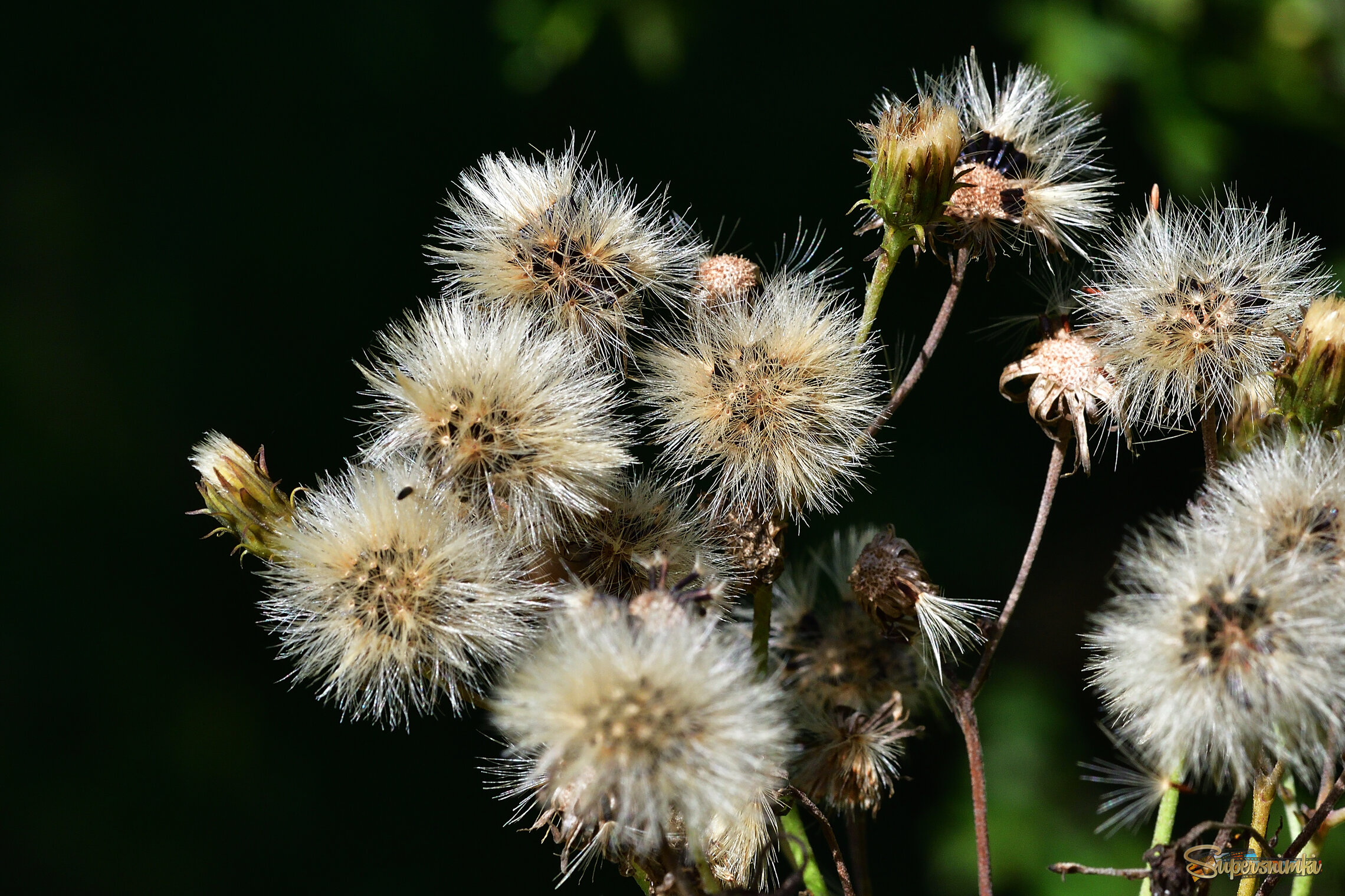 68b5a20ccbb3b250c3dcdd5b