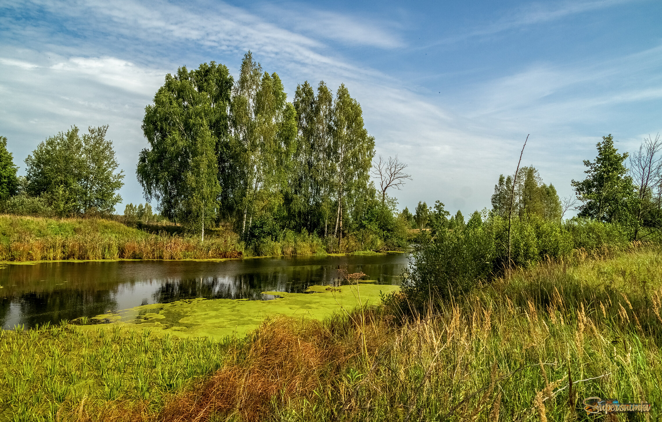 На исходе лета 4 