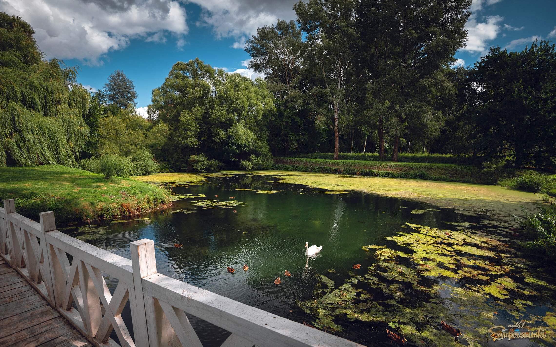 Старый пруд