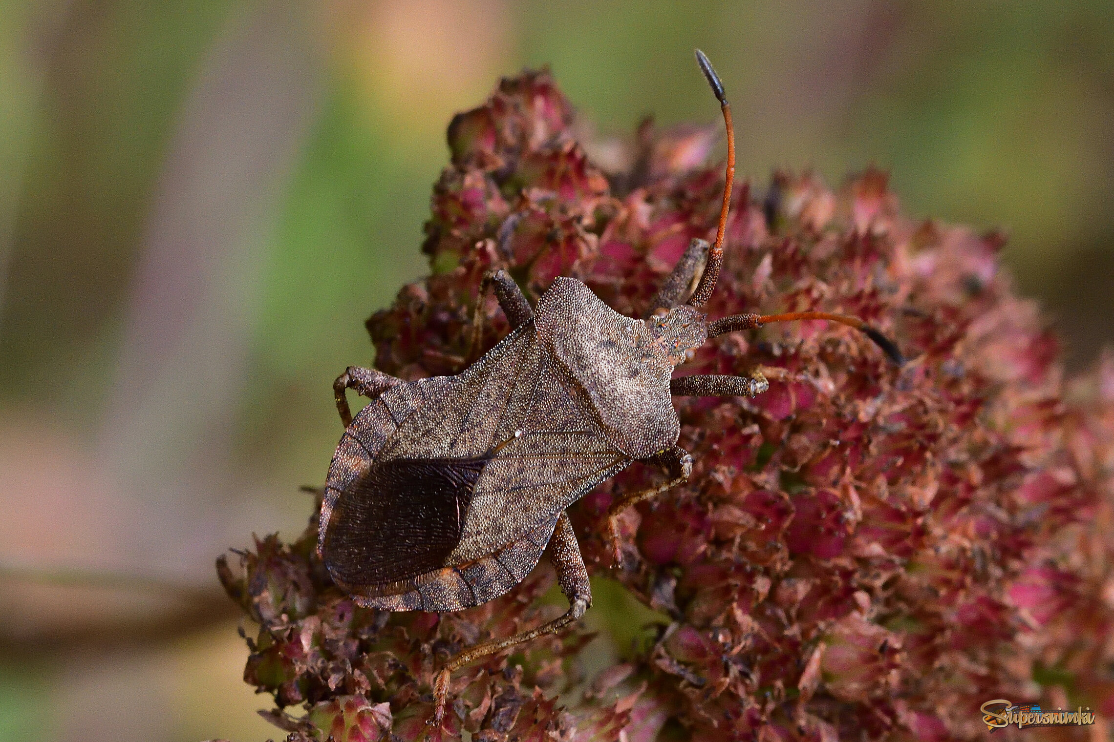 68b5630af0fe14c1c1dcdd5e